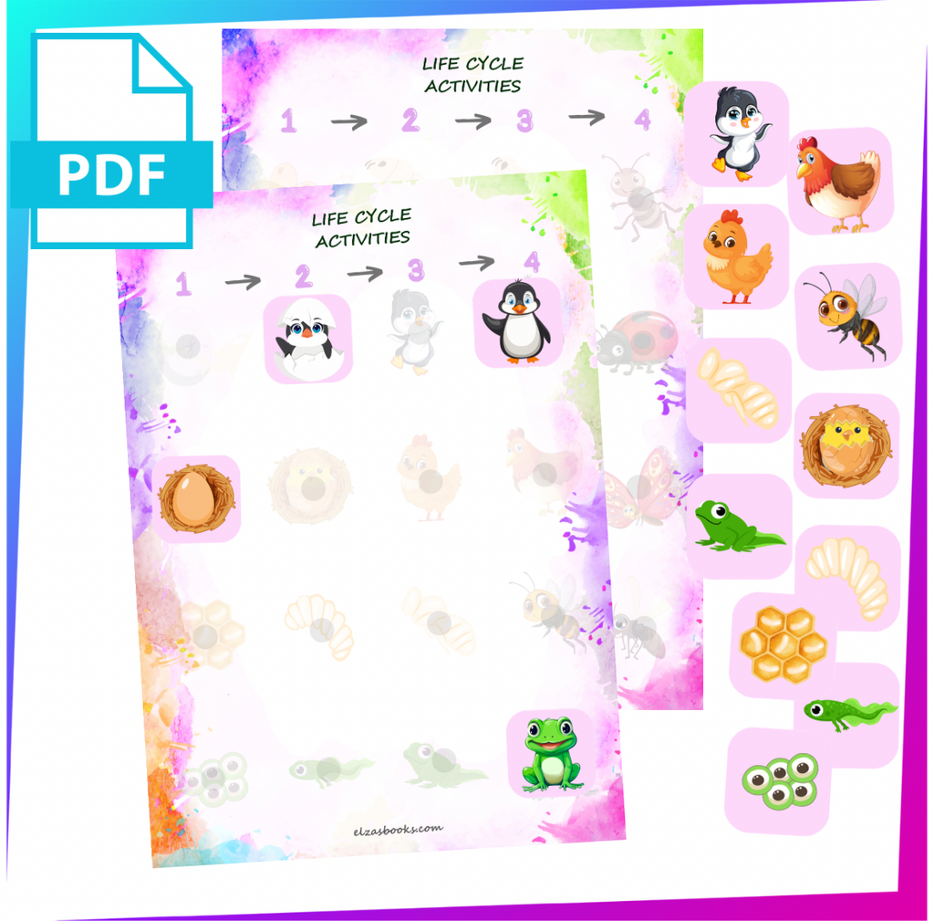“Life Cycle Activities”(024)