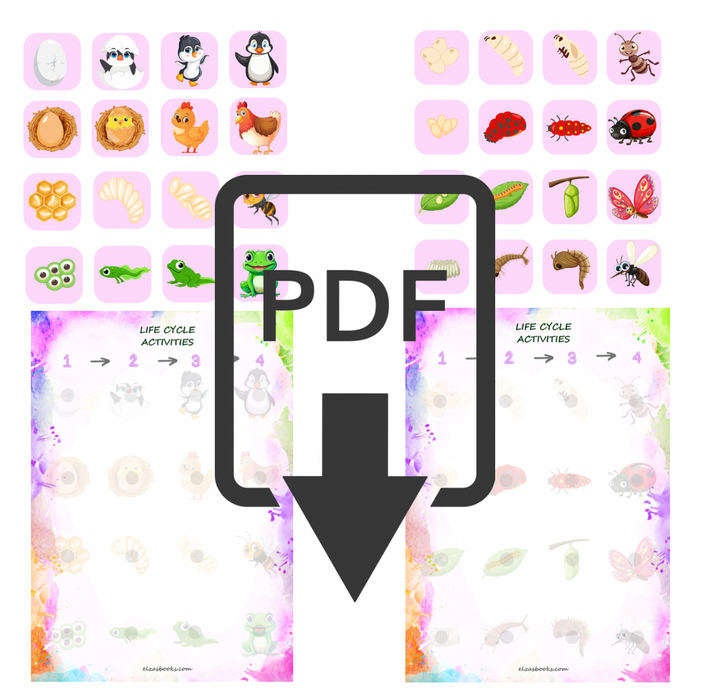 “Life Cycle Activities”(024)