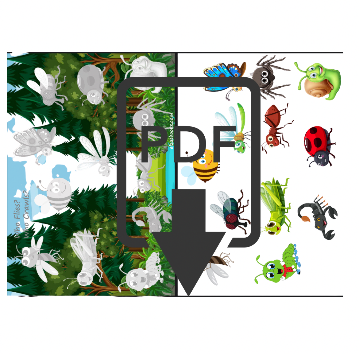 Insectos: ¿Rastreros o voladores? 🐛🦋(046)