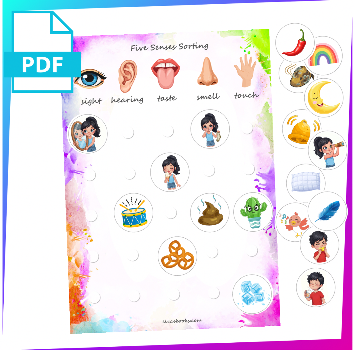 Five Senses Sorting (132)
