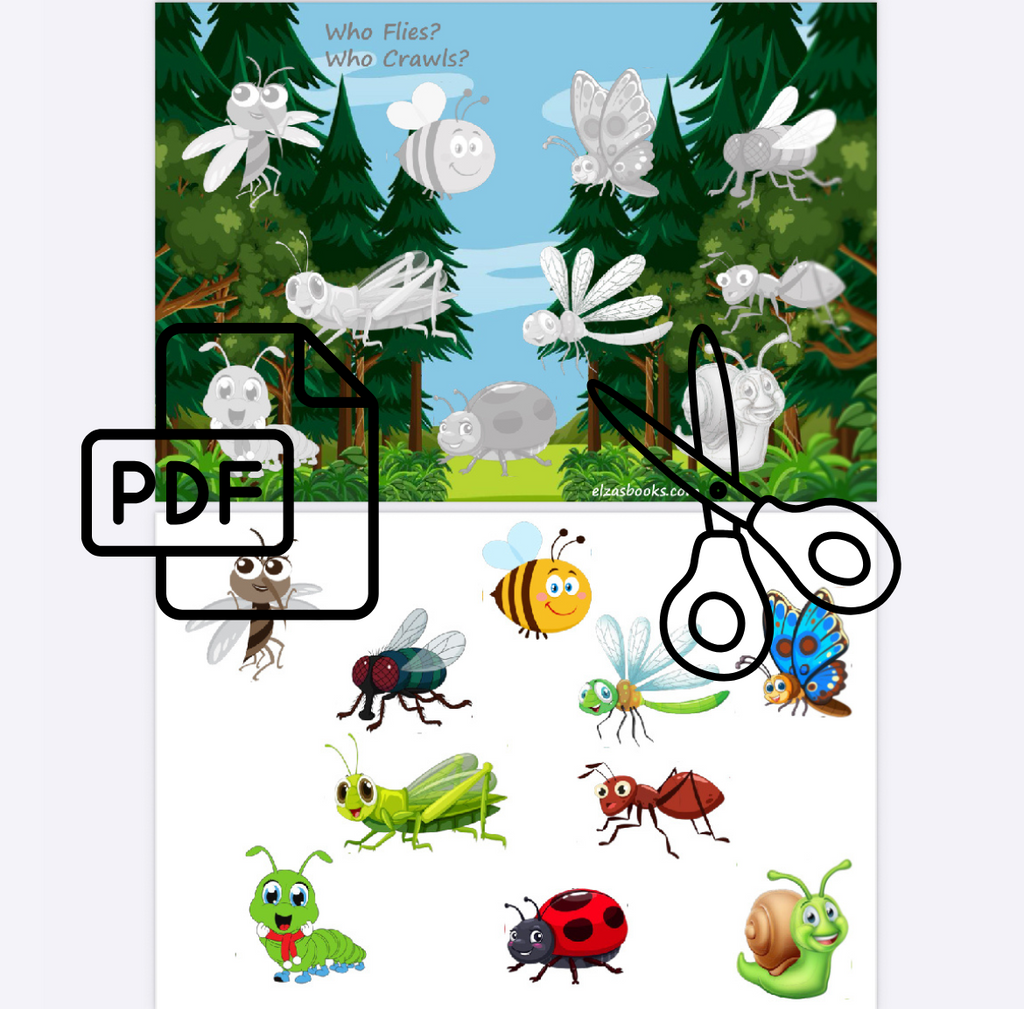 Insects: Crawlers or Flyers? 🐛🦋(046)